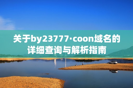 关于by23777·coon域名的详细查询与解析指南