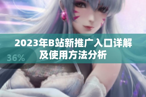 2023年B站新推广入口详解及使用方法分析