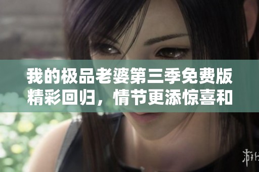 我的极品老婆第三季免费版精彩回归，情节更添惊喜和看点