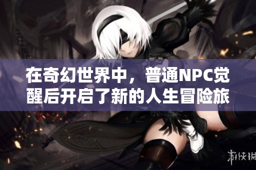在奇幻世界中，普通NPC觉醒后开启了新的人生冒险旅程