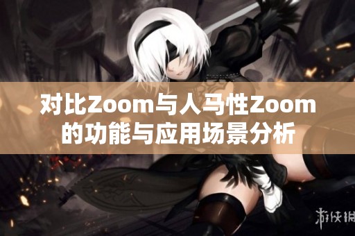 对比Zoom与人马性Zoom的功能与应用场景分析
