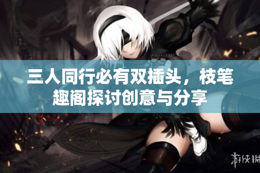 三人同行必有双插头，枝笔趣阁探讨创意与分享