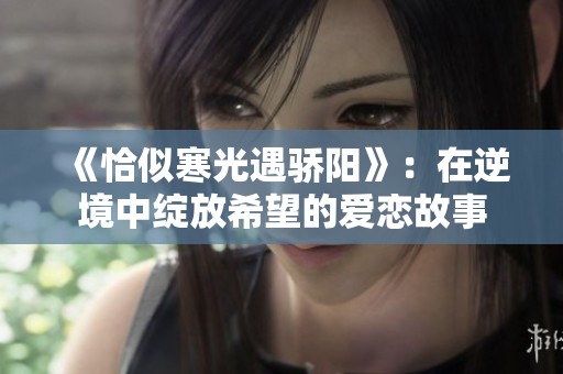 《恰似寒光遇骄阳》：在逆境中绽放希望的爱恋故事