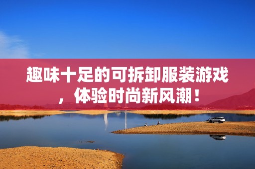 趣味十足的可拆卸服装游戏，体验时尚新风潮！