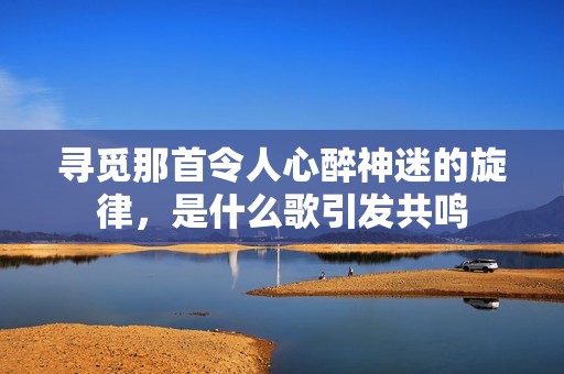 寻觅那首令人心醉神迷的旋律，是什么歌引发共鸣