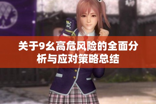 关于9幺高危风险的全面分析与应对策略总结