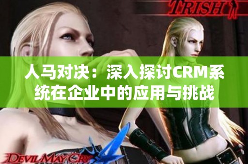 人马对决：深入探讨CRM系统在企业中的应用与挑战