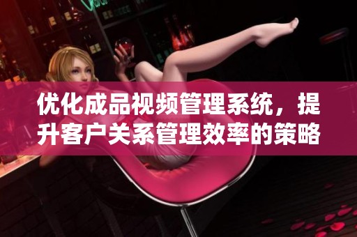 优化成品视频管理系统，提升客户关系管理效率的策略