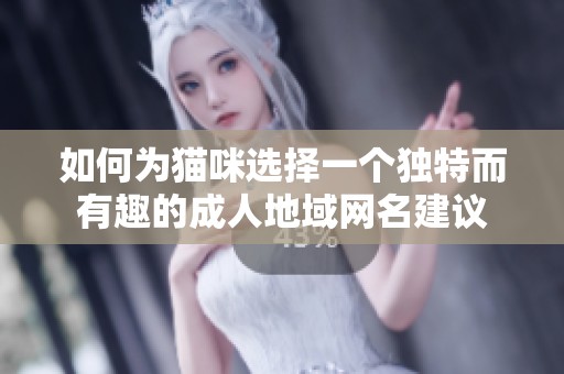 如何为猫咪选择一个独特而有趣的成人地域网名建议