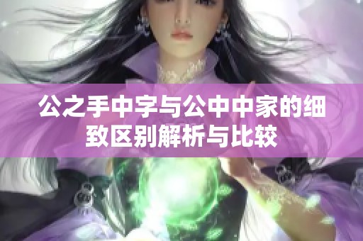 公之手中字与公中中家的细致区别解析与比较