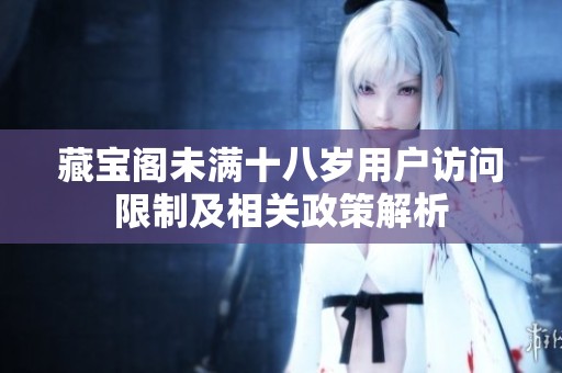 藏宝阁未满十八岁用户访问限制及相关政策解析