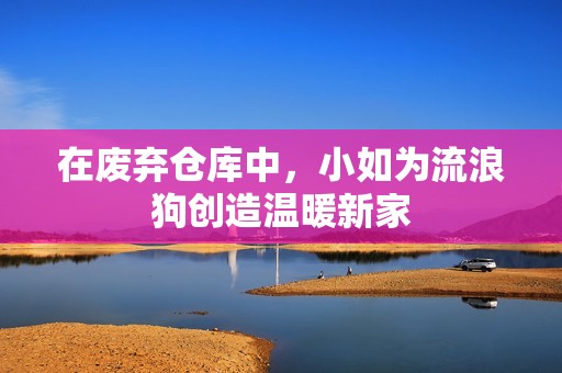 在废弃仓库中，小如为流浪狗创造温暖新家