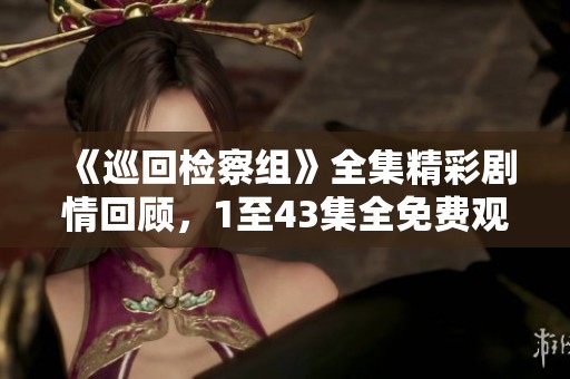 《巡回检察组》全集精彩剧情回顾，1至43集全免费观看
