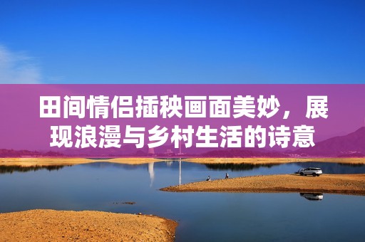 田间情侣插秧画面美妙，展现浪漫与乡村生活的诗意