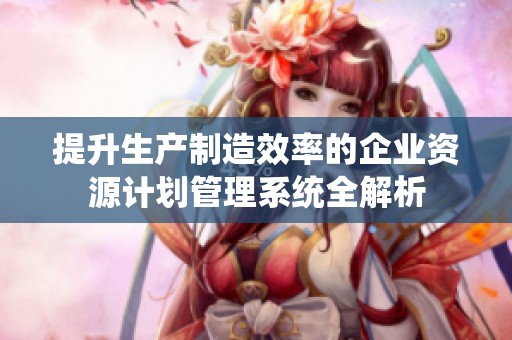 提升生产制造效率的企业资源计划管理系统全解析
