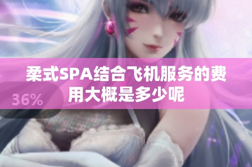 柔式SPA结合飞机服务的费用大概是多少呢