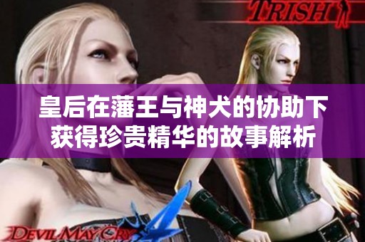 皇后在藩王与神犬的协助下获得珍贵精华的故事解析