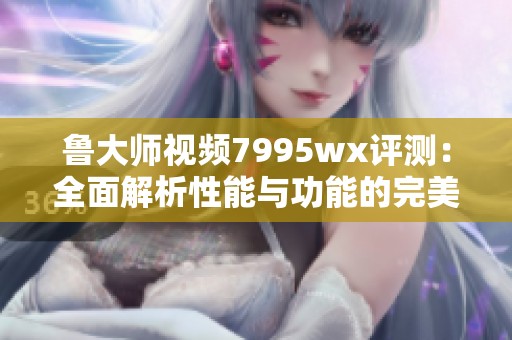 鲁大师视频7995wx评测：全面解析性能与功能的完美结合
