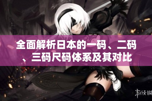 全面解析日本的一码、二码、三码尺码体系及其对比