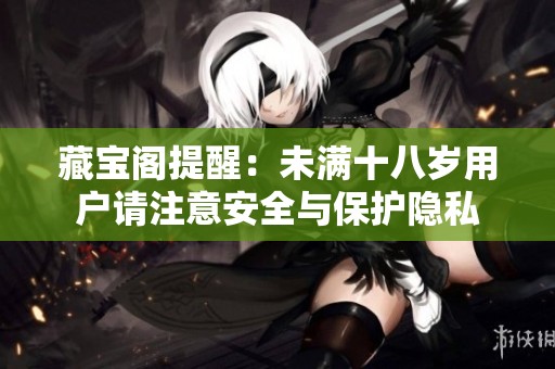 藏宝阁提醒：未满十八岁用户请注意安全与保护隐私