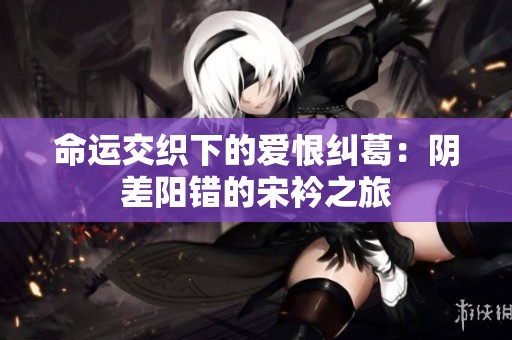 命运交织下的爱恨纠葛：阴差阳错的宋衿之旅