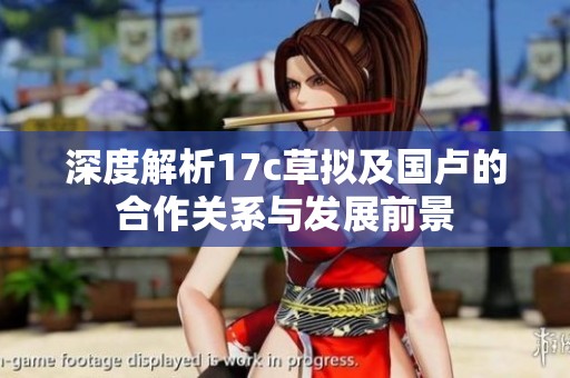 深度解析17c草拟及国卢的合作关系与发展前景