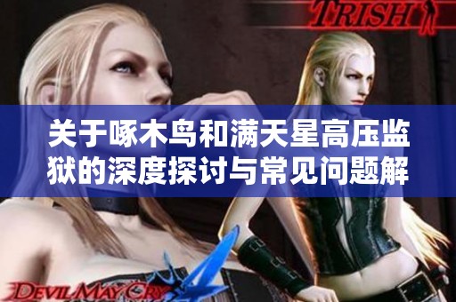 关于啄木鸟和满天星高压监狱的深度探讨与常见问题解答