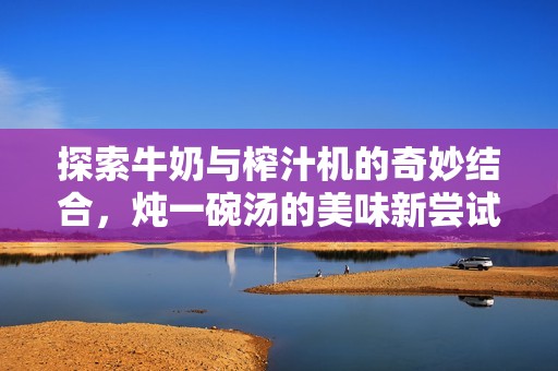 探索牛奶与榨汁机的奇妙结合，炖一碗汤的美味新尝试