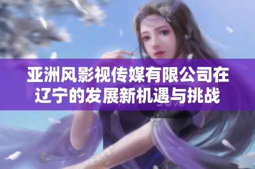 亚洲风影视传媒有限公司在辽宁的发展新机遇与挑战