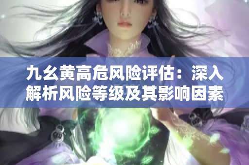 九幺黄高危风险评估：深入解析风险等级及其影响因素