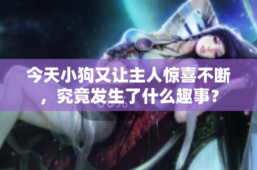 今天小狗又让主人惊喜不断，究竟发生了什么趣事？
