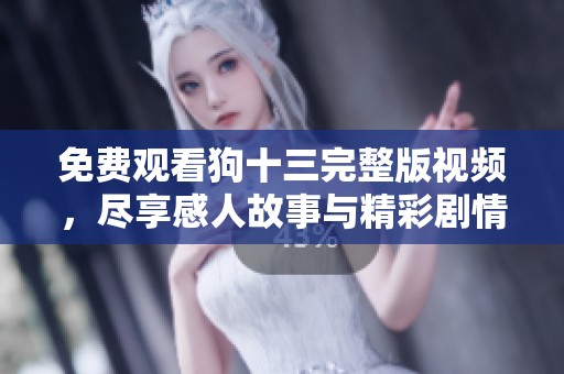 免费观看狗十三完整版视频，尽享感人故事与精彩剧情