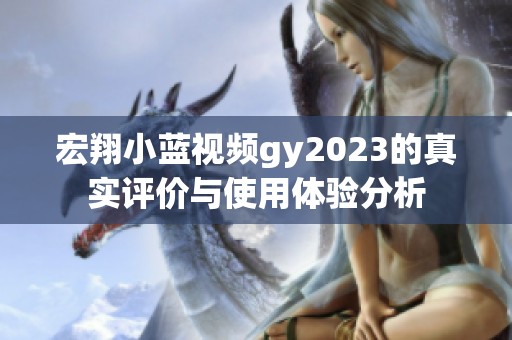 宏翔小蓝视频gy2023的真实评价与使用体验分析
