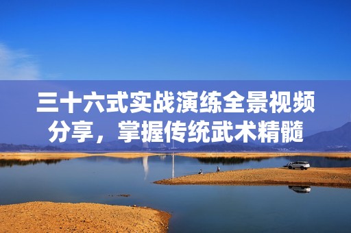 三十六式实战演练全景视频分享，掌握传统武术精髓