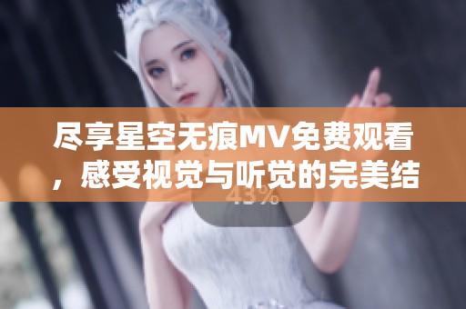 尽享星空无痕MV免费观看，感受视觉与听觉的完美结合
