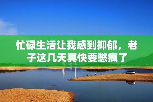 忙碌生活让我感到抑郁，老子这几天真快要憋疯了