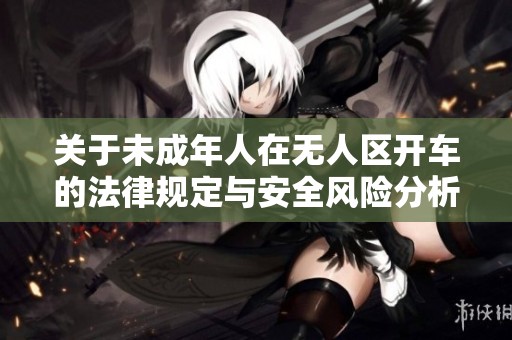 关于未成年人在无人区开车的法律规定与安全风险分析