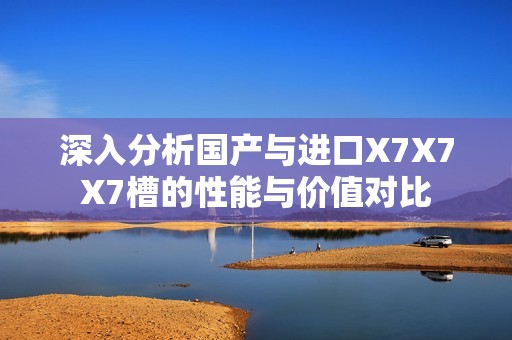 深入分析国产与进口X7X7X7槽的性能与价值对比