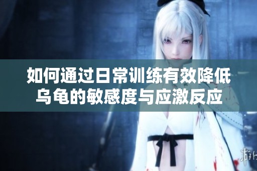 如何通过日常训练有效降低乌龟的敏感度与应激反应