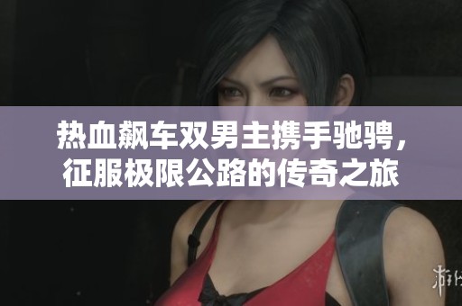 热血飙车双男主携手驰骋，征服极限公路的传奇之旅