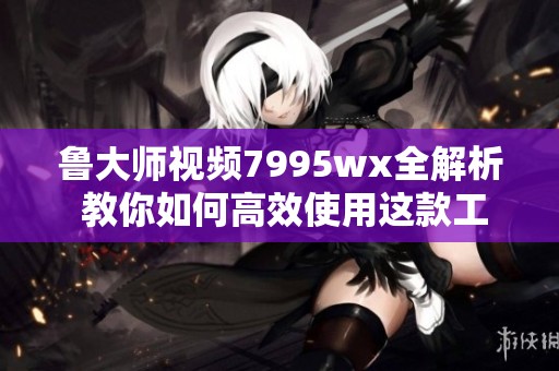 鲁大师视频7995wx全解析 教你如何高效使用这款工具