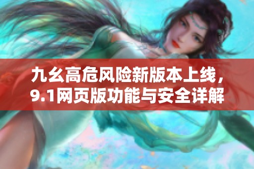 九幺高危风险新版本上线，9.1网页版功能与安全详解