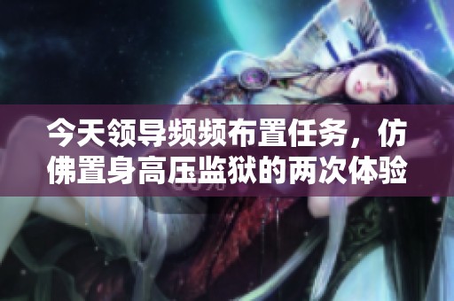 今天领导频频布置任务，仿佛置身高压监狱的两次体验