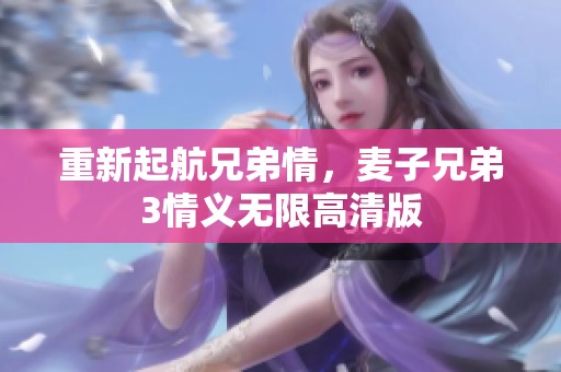 重新起航兄弟情，麦子兄弟3情义无限高清版