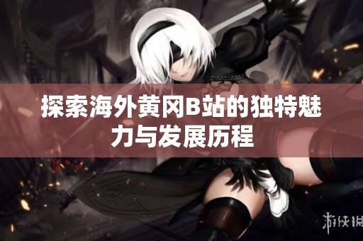 探索海外黄冈B站的独特魅力与发展历程