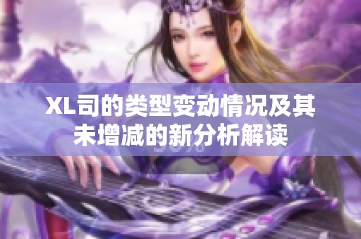 XL司的类型变动情况及其未增减的新分析解读