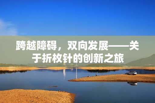 跨越障碍，双向发展——关于折枚针的创新之旅