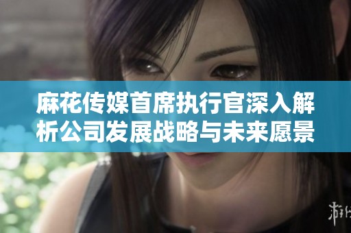 麻花传媒首席执行官深入解析公司发展战略与未来愿景