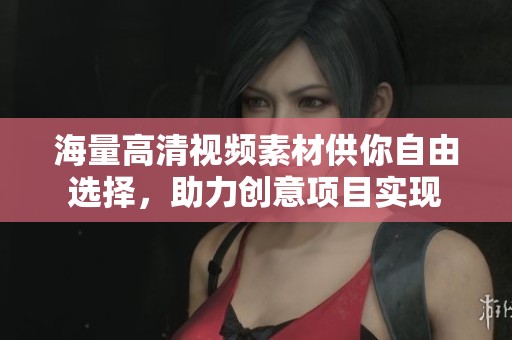 海量高清视频素材供你自由选择，助力创意项目实现