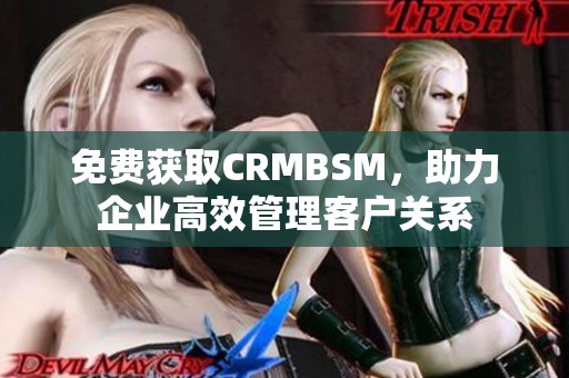 免费获取CRMBSM，助力企业高效管理客户关系
